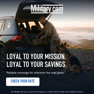 military_dog 1:1